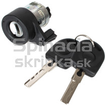 Spínacia skrinka, vložka spínacej skrinky Seat Ibiza