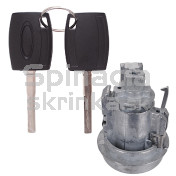 Spínacia skrinka, vložka spínacej skrinky Ford Fiesta VI 11-19 b